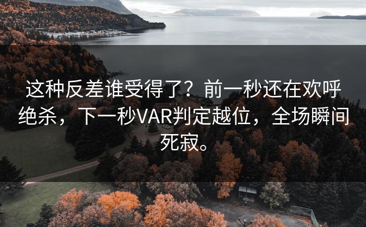 这种反差谁受得了？前一秒还在欢呼绝杀，下一秒VAR判定越位，全场瞬间死寂。