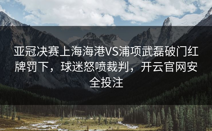 亚冠决赛上海海港VS浦项武磊破门红牌罚下，球迷怒喷裁判，开云官网安全投注