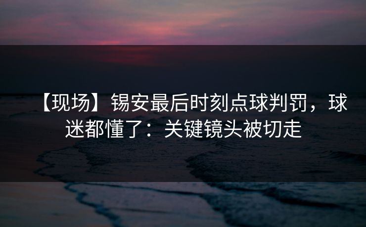 【现场】锡安最后时刻点球判罚，球迷都懂了：关键镜头被切走